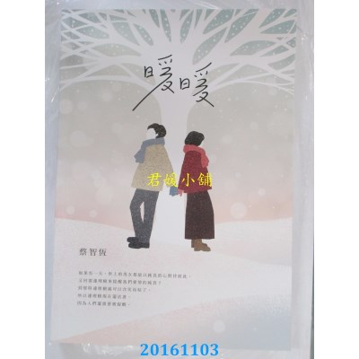 空运版  畅销书  暖暖  作者： 蔡智恒(全新)