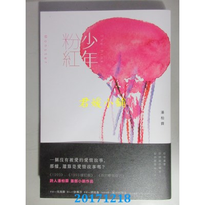 空运版  尖端小说  少年粉红  作者： 潘柏霖(全新)