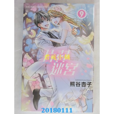 空运版  长鸿  片翼迷宫 9 作者： 熊谷杏子(全新)
