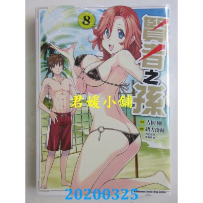 空运版  角川  贤者之孙 (8)
 作者：绪方俊辅, 吉冈刚, 菊池政治