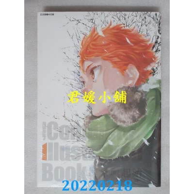 空运版  东立  排球少年!! Complete Illustration Book 结束与起始 全  再版(全新)
