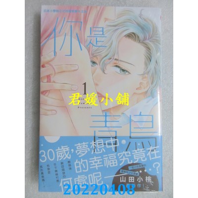 空运版  长鸿  你是青鸟 1  作者： 山田小桃(全新) 