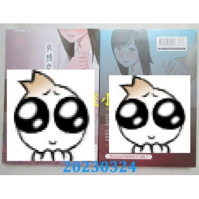 空运版  暮想  只想交欢的年纪 3  作者： 桂あいり(全新)