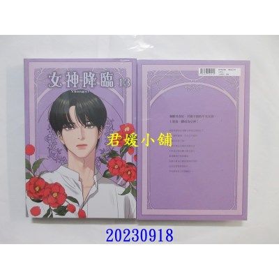 空运版  角川  女神降临 (13)  作者： Yaongyi(全新)