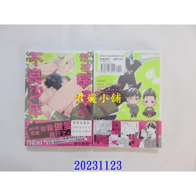 空运版  长鸿  想被带坏的不良少年 next  作者： 野田野陀(全新)