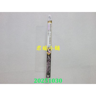 空运版  长鸿  想逃家的我、不小心把憧憬的大魔法使买下来了 3  作者： 琴子(全新)